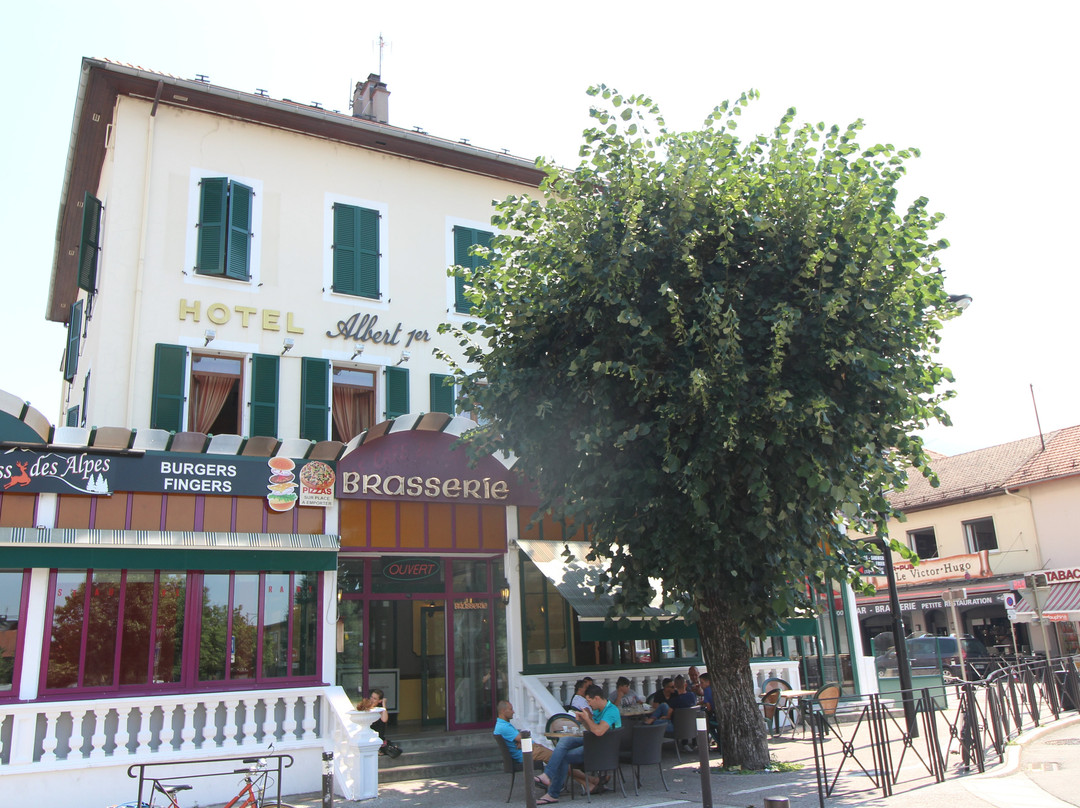 阿尔伯特一世酒店