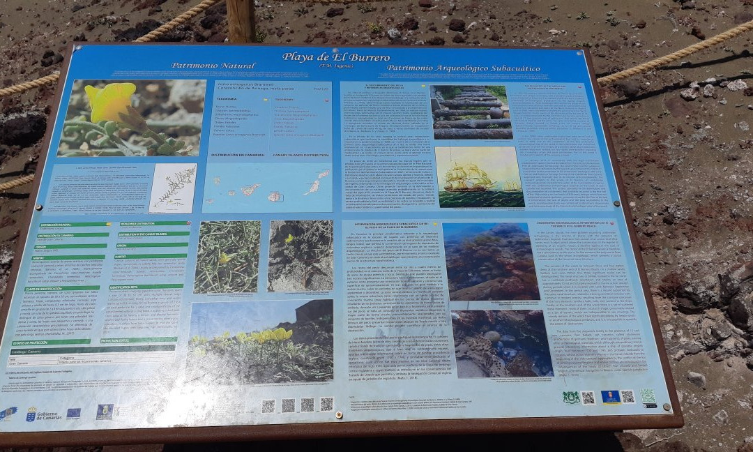 Playa del Burrero景点图片