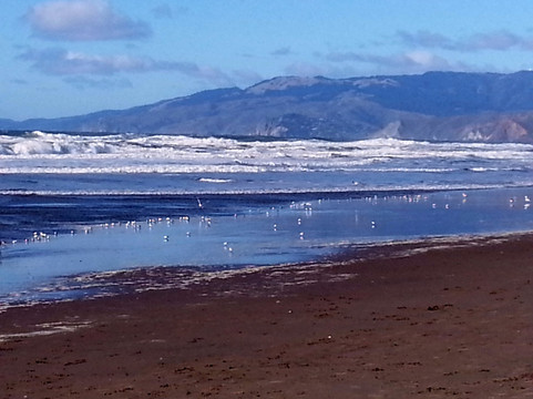 海滩-旧金山必去景点