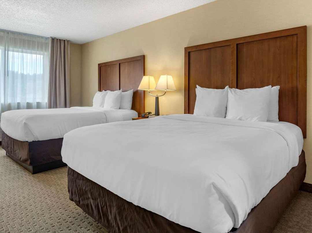 Comfort Inn & Suites Bothell - Seattle North主图