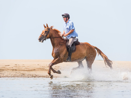 Cheston Farm Equestrian Centre