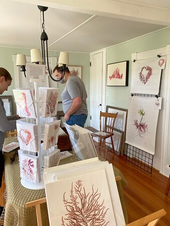 Corinna Kaufman Seaweed Art Gallery景点图片