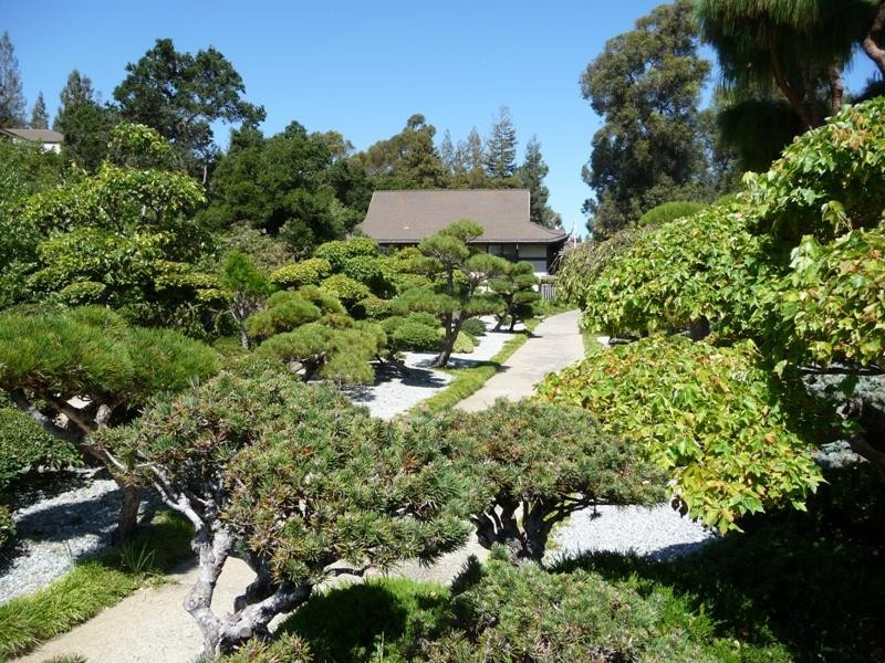 Hayward Japanese Gardens景点图片