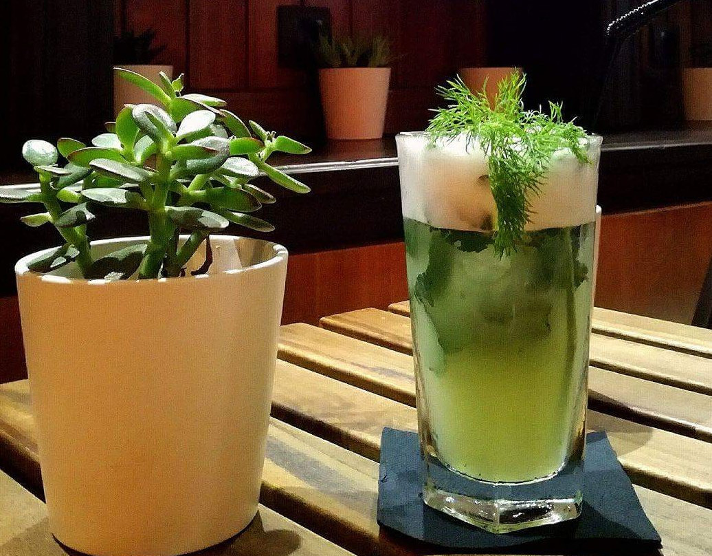 Garden Bar-科英布拉区必去景点