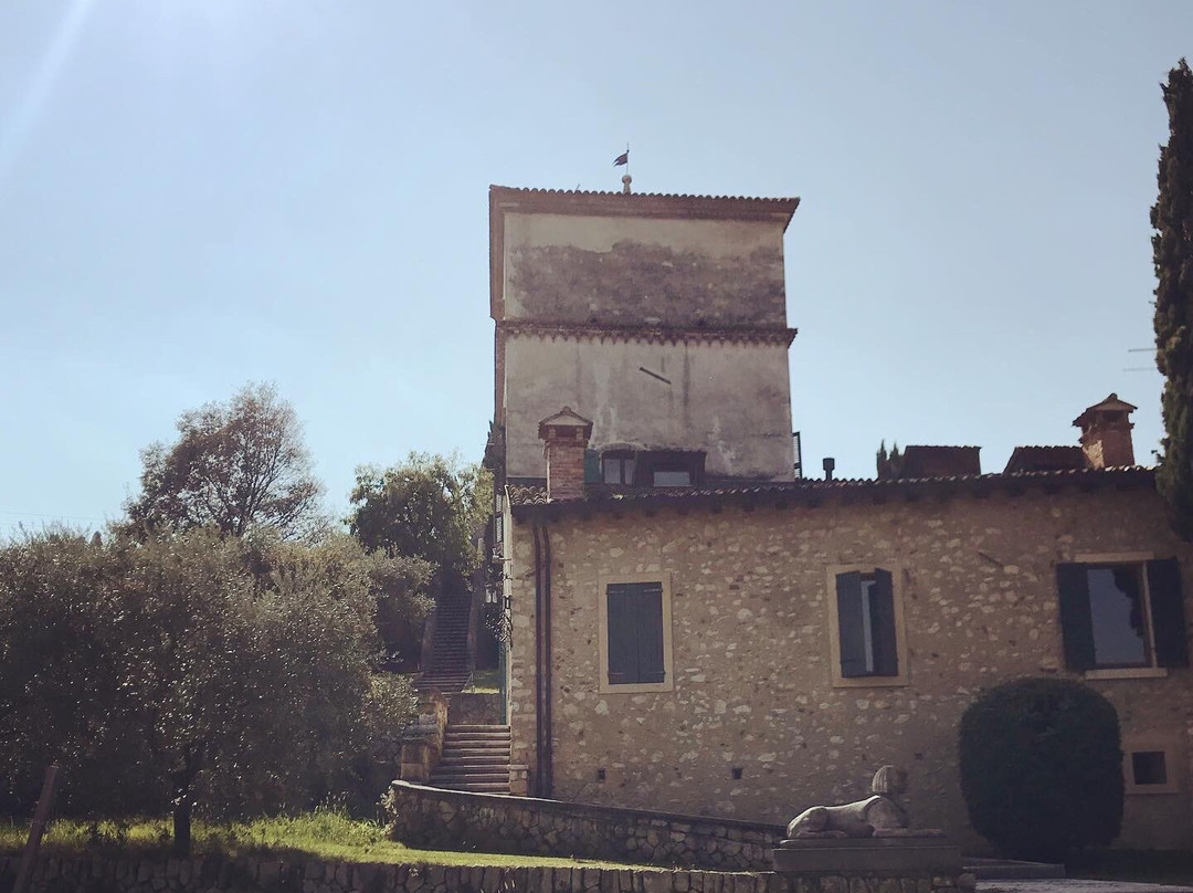 Villa Giona - Fagioli景点图片