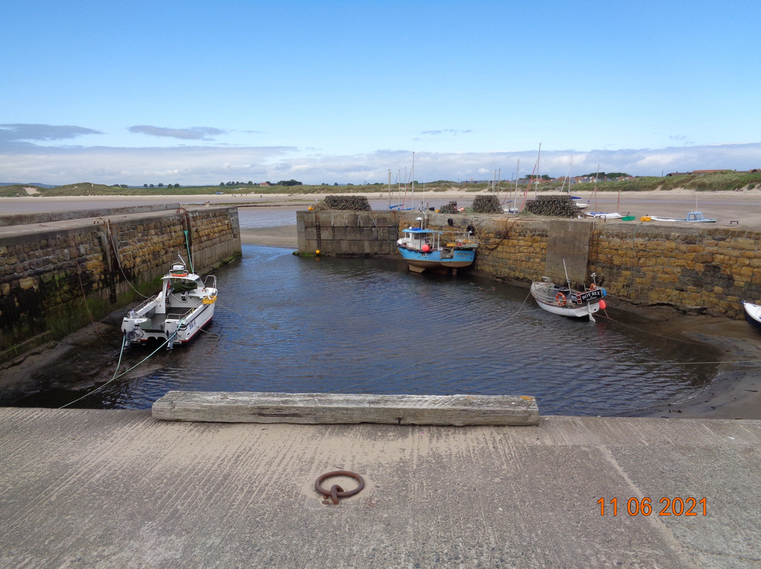 Beadnell Harbour and Lime Kilns景点图片
