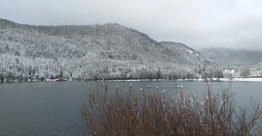 Lac de Longemer景点图片