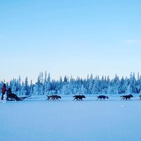Polardog Mountain Lodge -  Tours景点图片