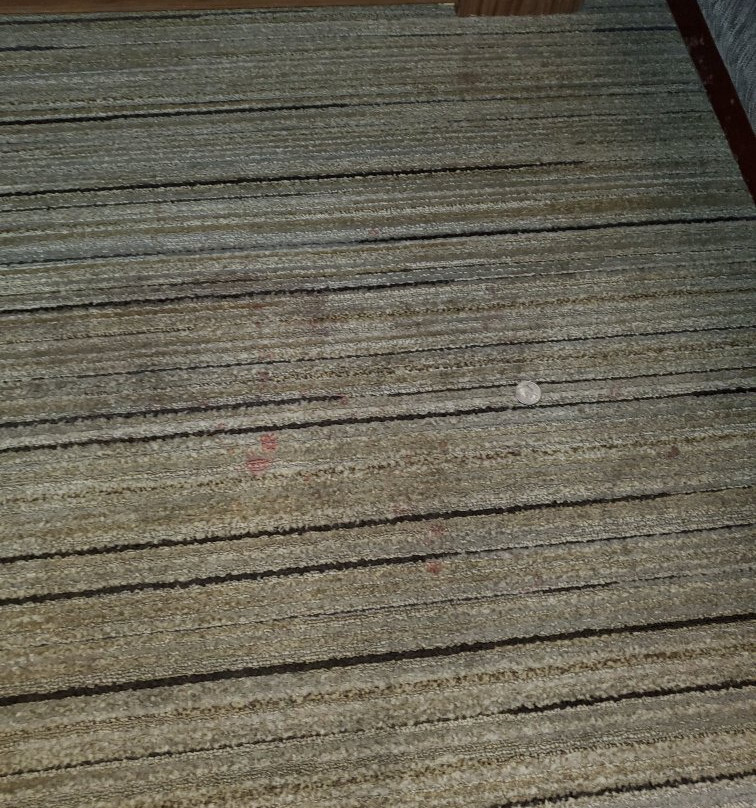 Holiday Inn Express & Suites Scottsburg by IHG主图