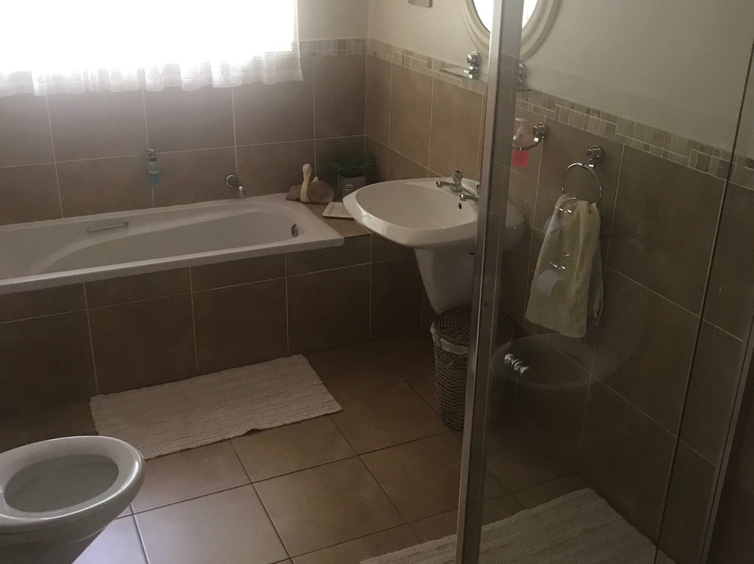 Bumblebees B & B主图