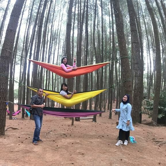 Imogiri Pine Forest-Imogiri必去景点