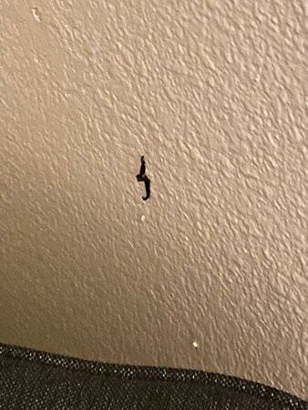 米尔顿快捷假日酒店主图