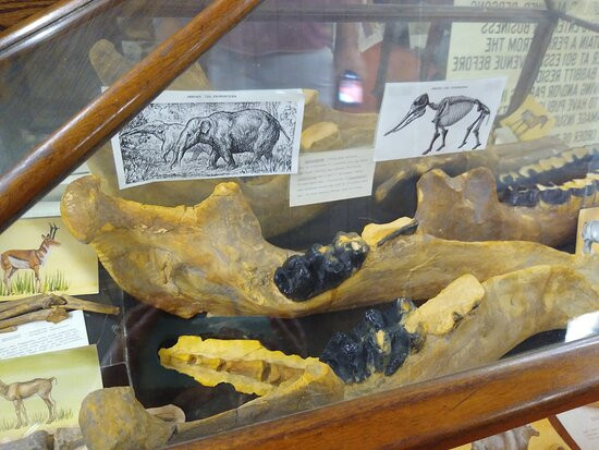 Mineral County Museum-Hawthorne必去景点