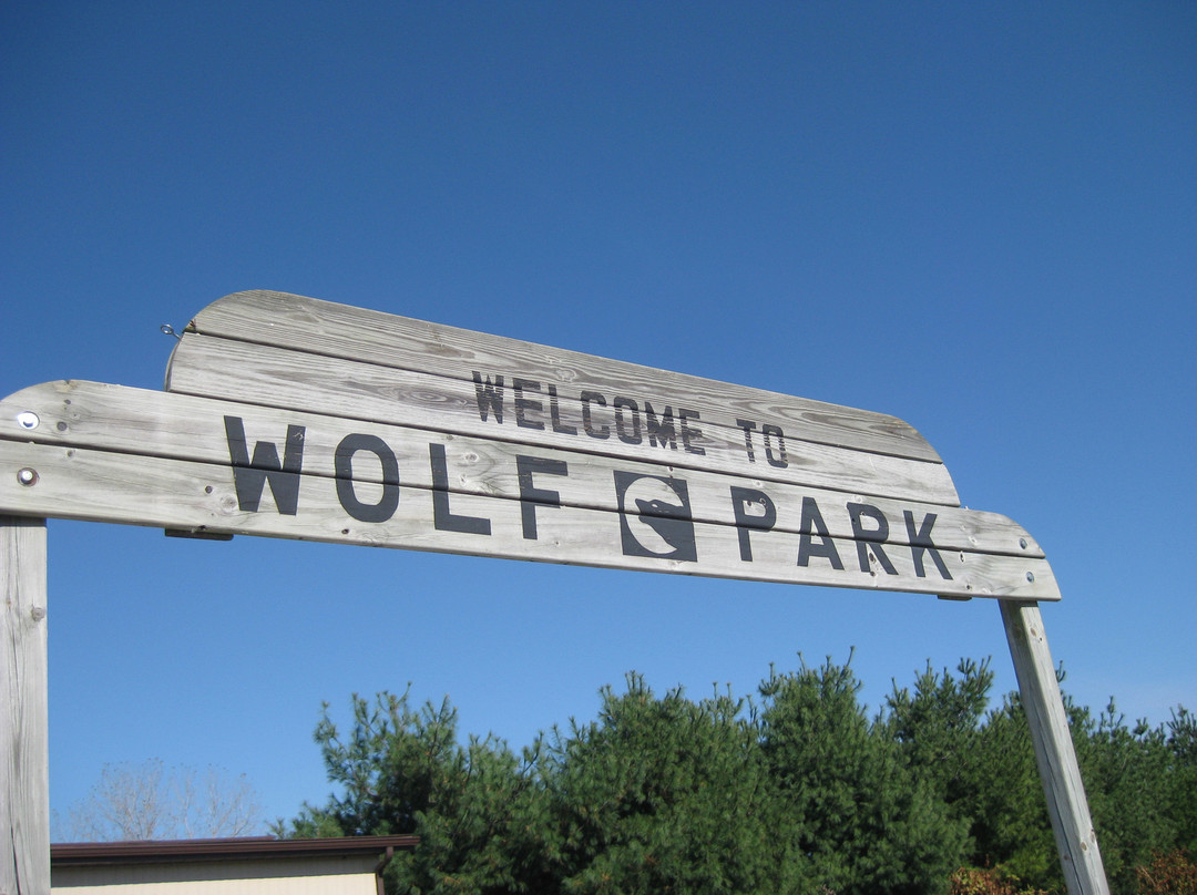 Wolf Park景点图片