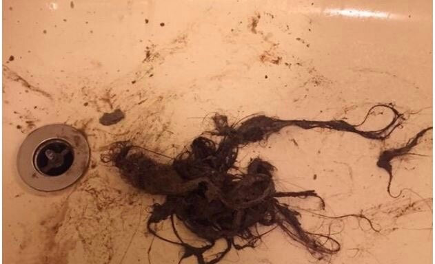 Hotel Haus Freiburg主图