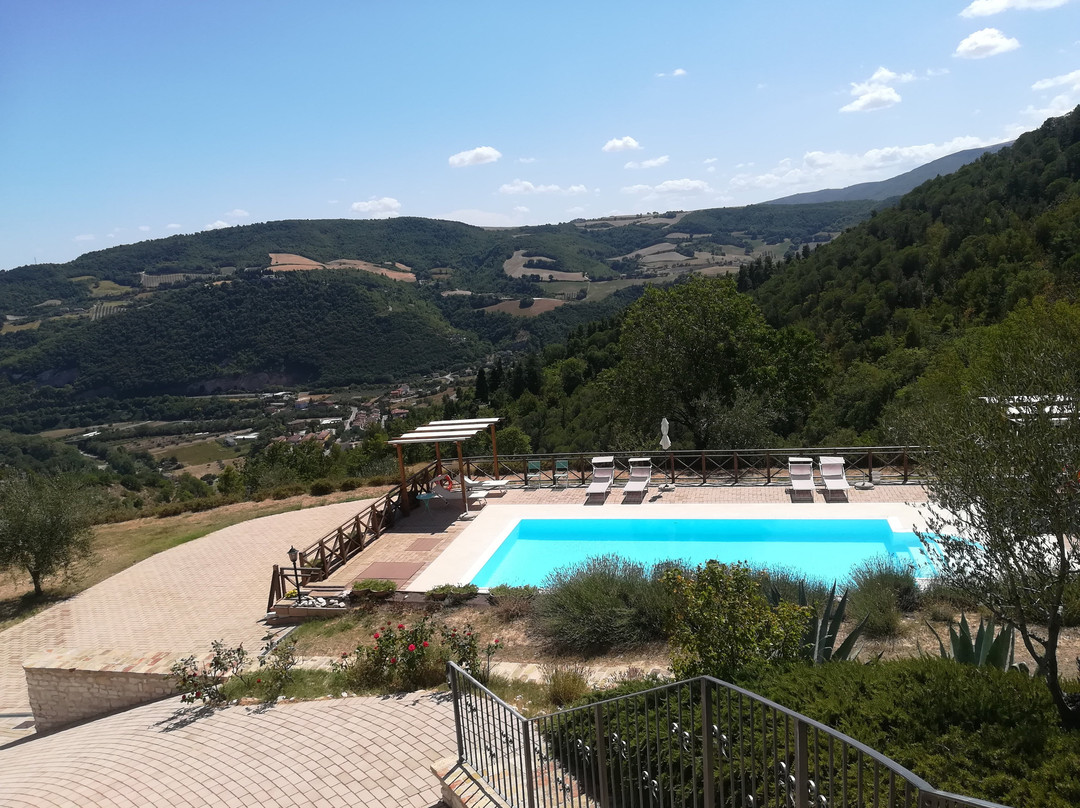 Agriturismo la Collina degli Olivi