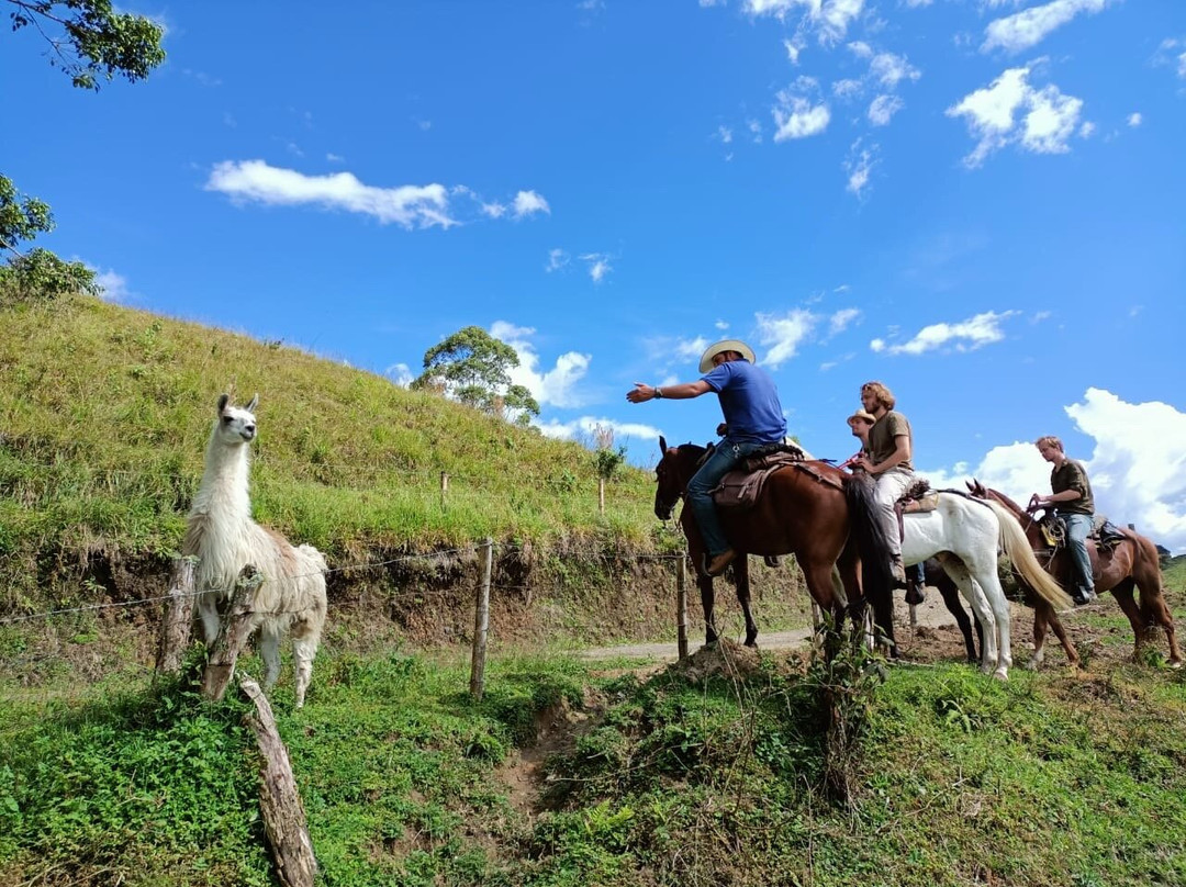 Steel Horse Colombia-Filandia必去景点