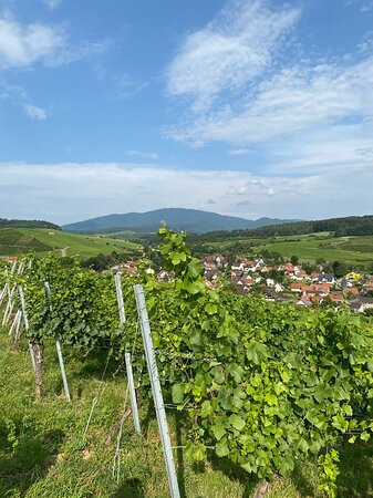 Weingut Sommerhalter景点图片
