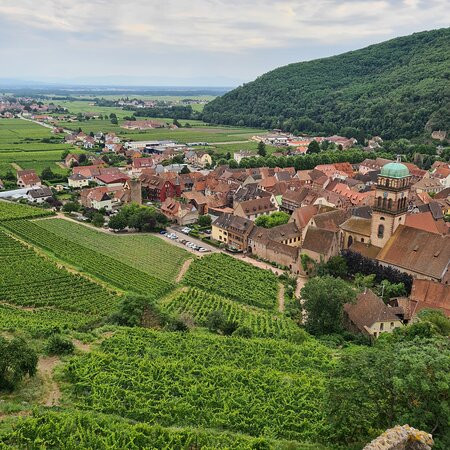 Chateau du Schlossberg-Forbach必去景点