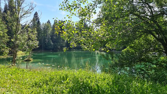 Lago Welsperg-Tonadico必去景点