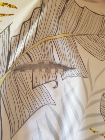 La Casa dei Sogni主图