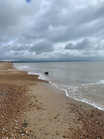 St Marys Bay Beach景点图片
