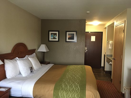 Clarion Pointe By Choice Hotels Racine - Mount Pleasant主图