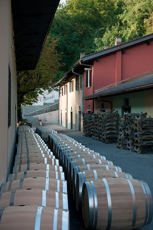 Gialdi Vini SA-门德里西奥必去景点