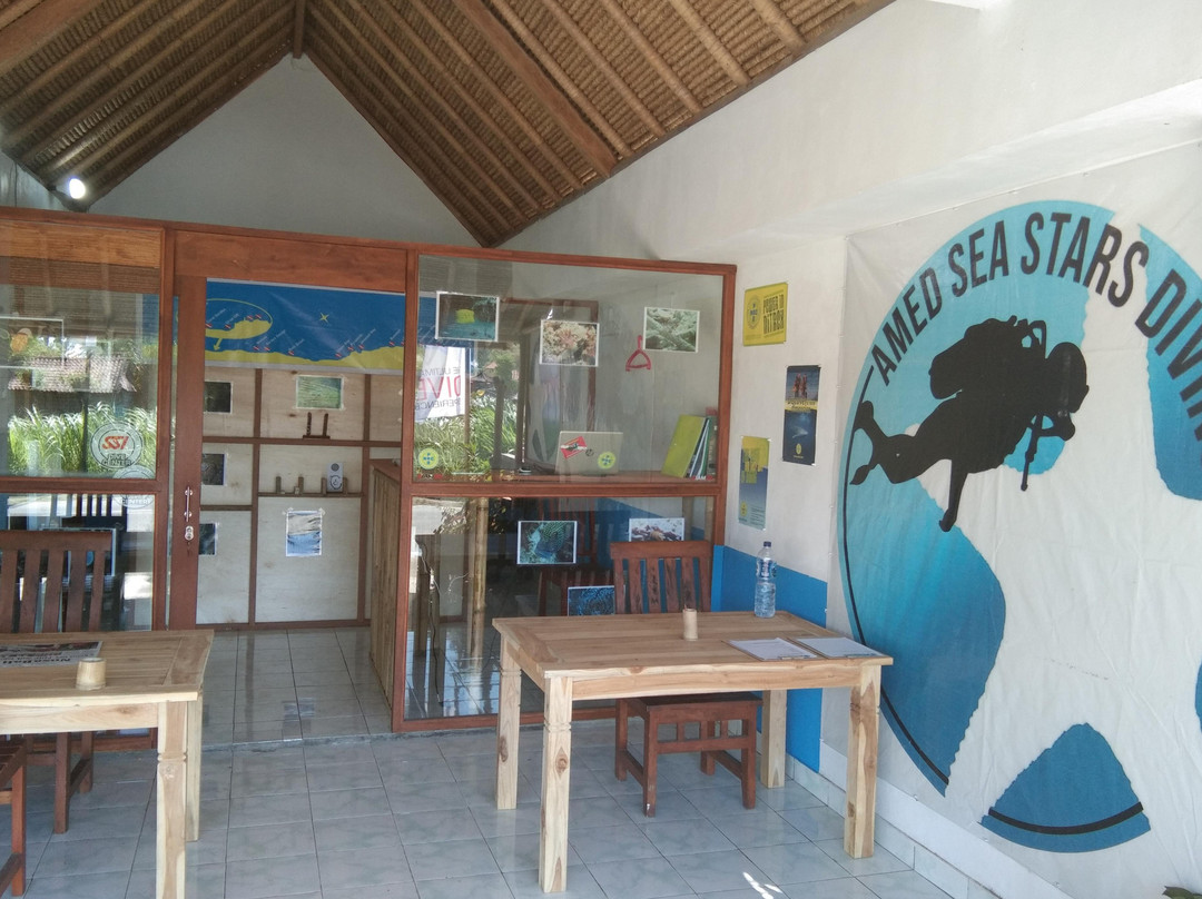Amed Sea Stars Diving景点图片