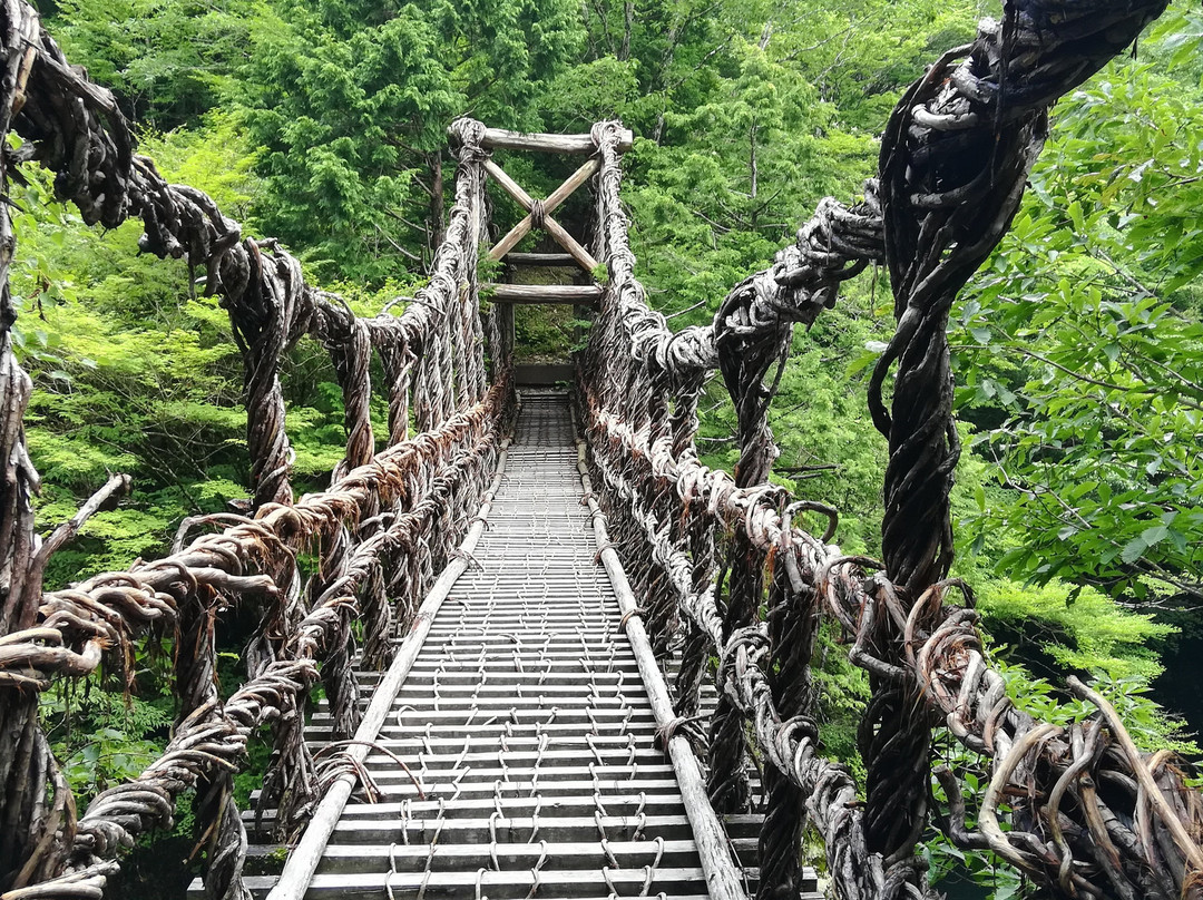 四国旅游景点-Okuiya Niju Kazurabashi Bridge