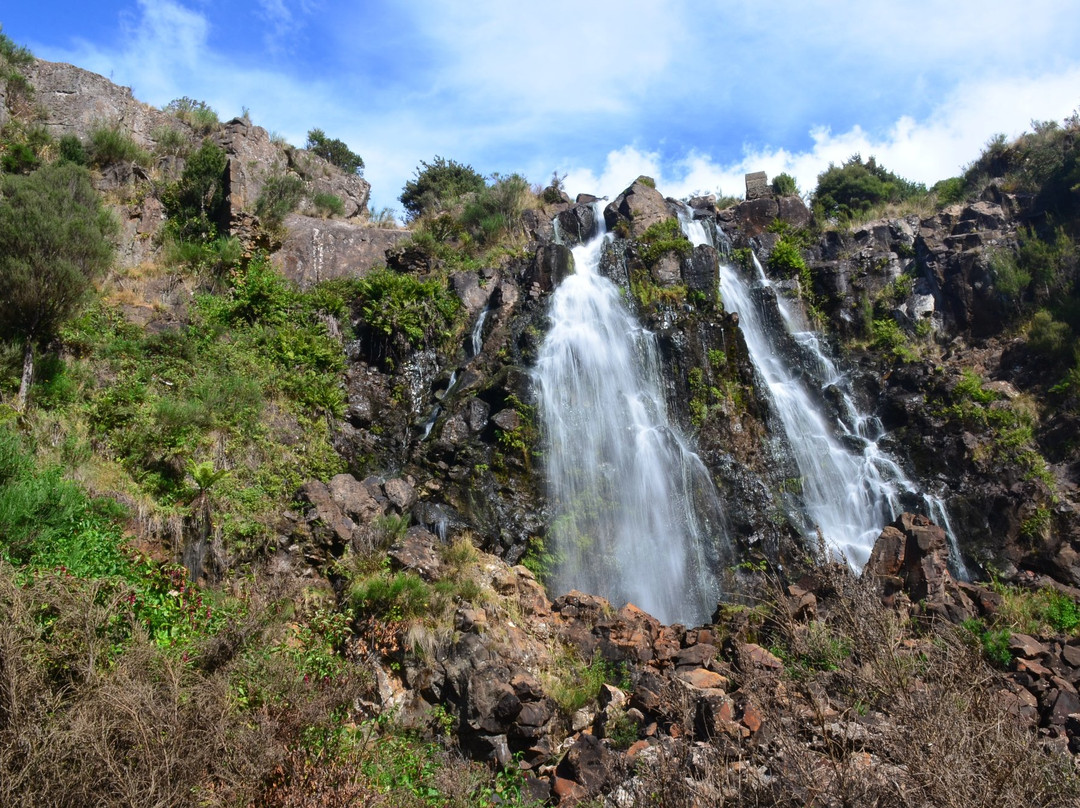 Waratah Falls-Waratah必去景点