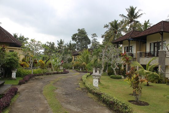 布和丝娃度假村主图