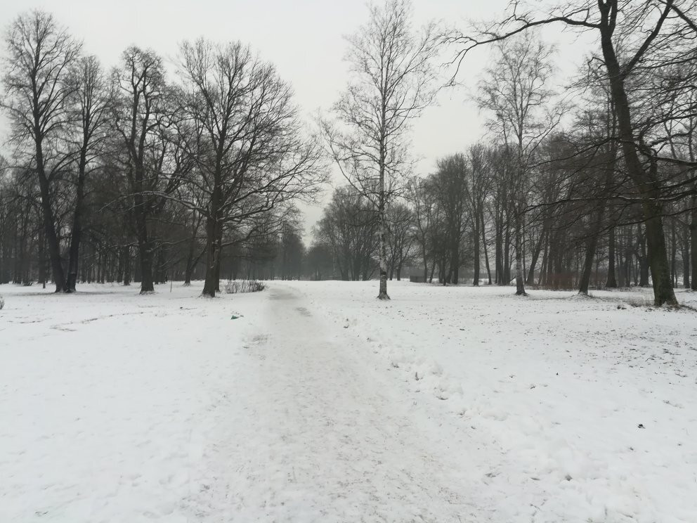 Orlovskiy Pond and Park景点图片