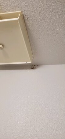 Americas Best Value Inn Laramie主图