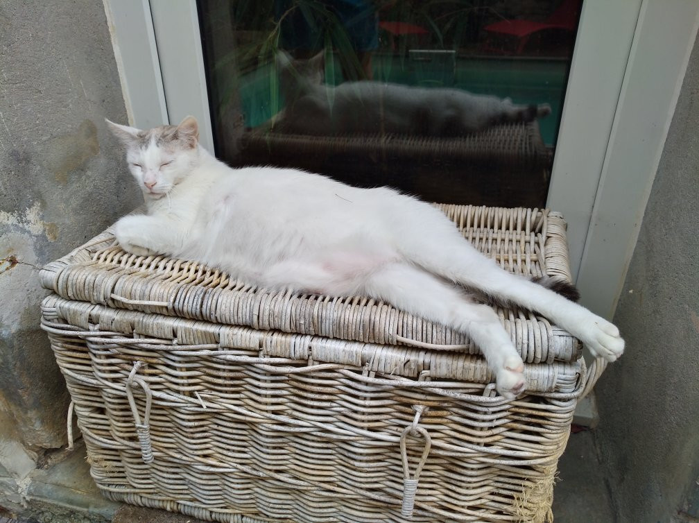 La Demeure du Pressoir主图