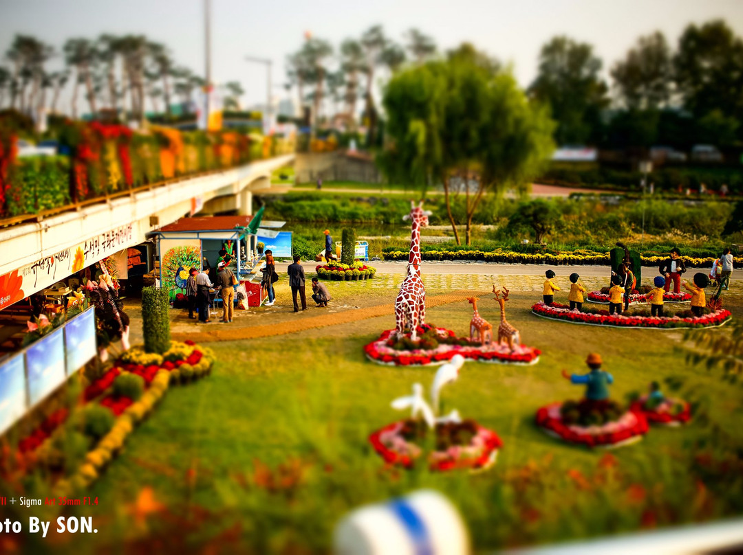 大田旅游景点-Yurim Park