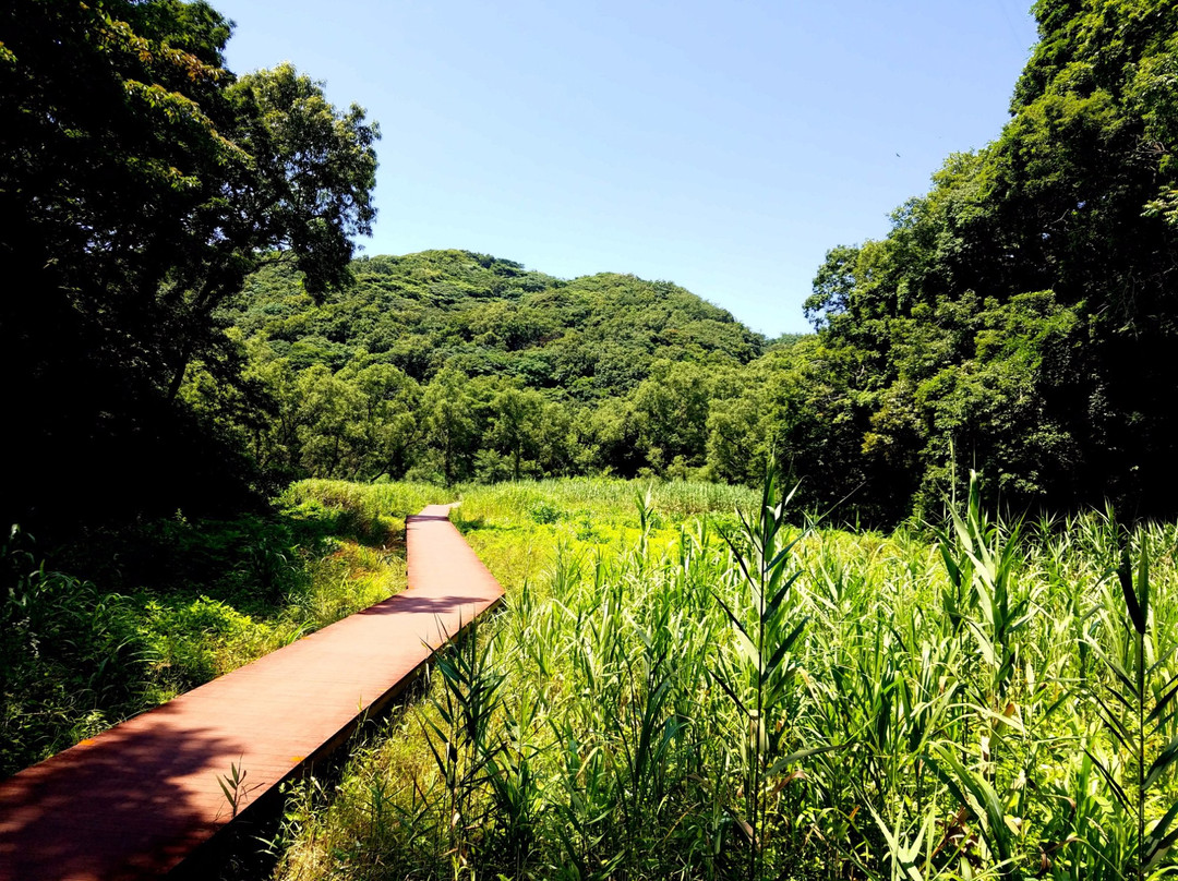 三浦市旅游景点-Koajiro Forest