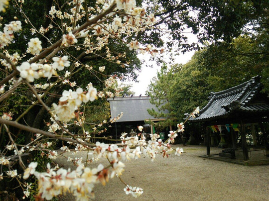 三宅町旅游攻略图片