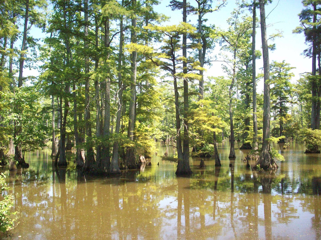 Horseshoe Lake State & Wildlife Area-Miller City必去景点