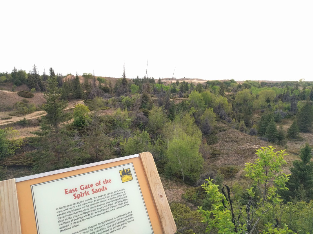 Spruce Woods Provincial Park景点图片