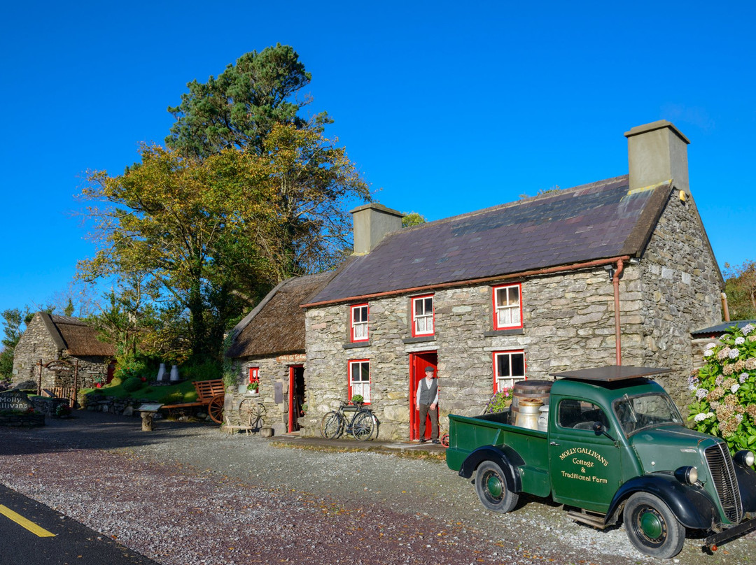 Province of Munster旅游景点-Molly Gallivan's Cottage & Traditional Farm
