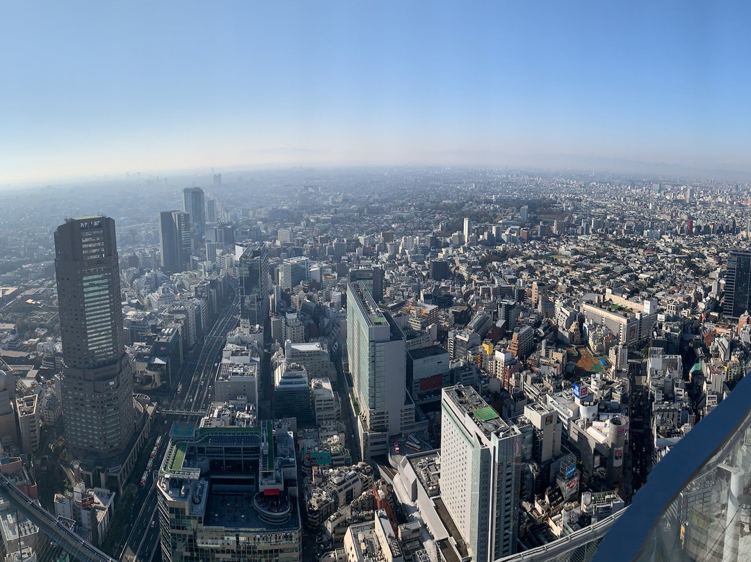 Shibuya Sky景点图片
