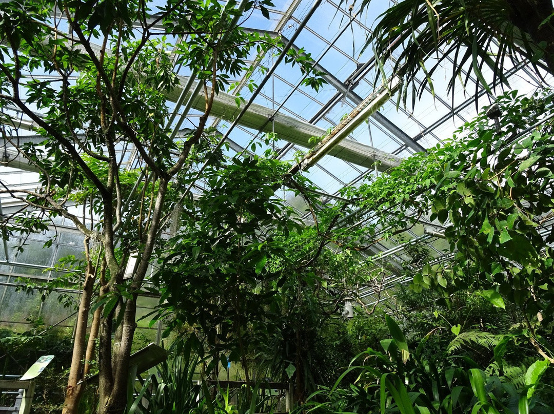 Jardin du Conservatoire Botanique National de Brest景点图片