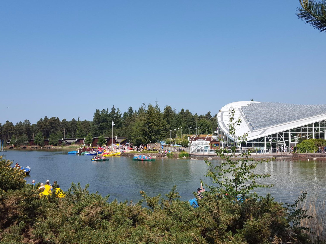 Center Parcs Whinfell Forest景点图片