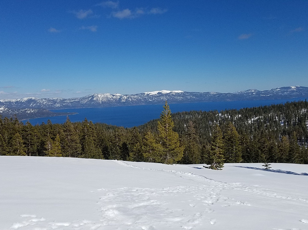 Lake Tahoe Snowmobile Tours景点图片