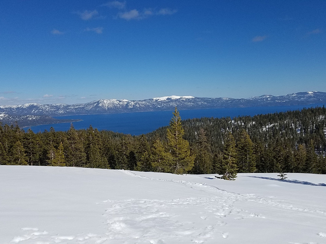 Lake Tahoe Snowmobile Tours