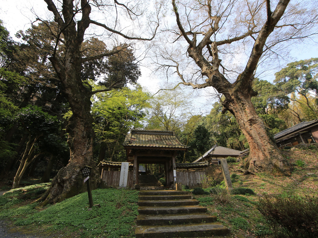 Bussho-Ji Temple-真冈市必去景点