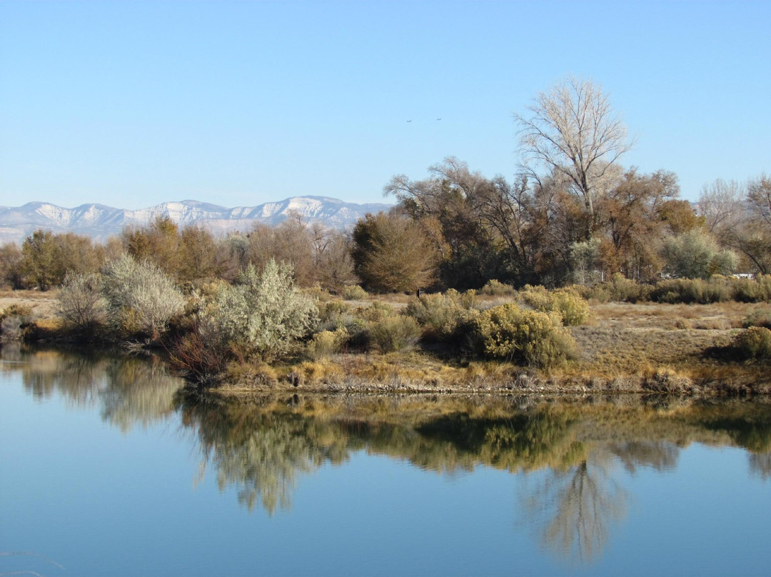 James M. Robb - Colorado River State Park景点图片