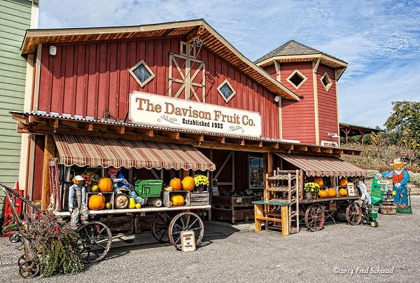 Davison Orchards Country Village景点图片