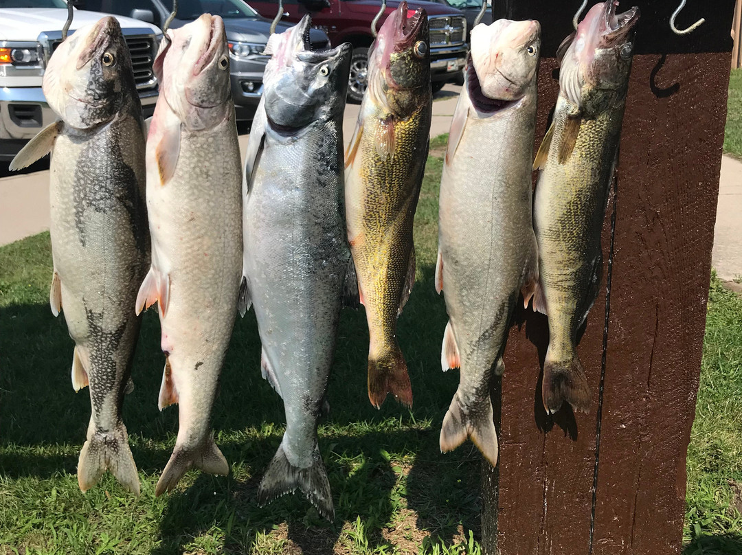 Trout Scout V Fishing Charters-Alpena必去景点